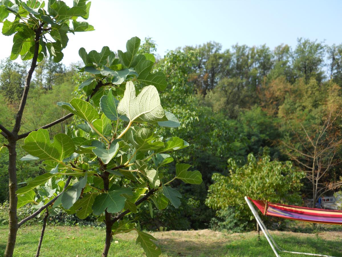 Casa Clotilde Bed & Breakfast Stazzano Bagian luar foto